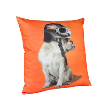 Captain Britian Tangerine Cushion